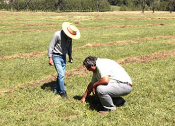 GMT-en-terreno1