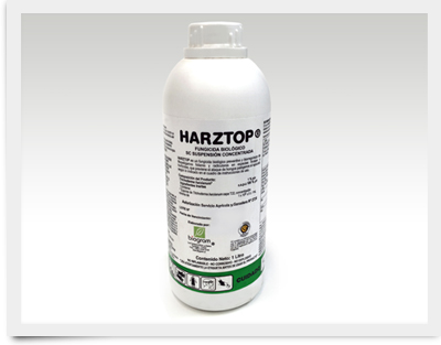 Producto_GMT_harztop