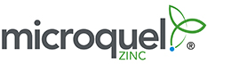 Logo_int_Microquel-zinc_261x72pix_2021