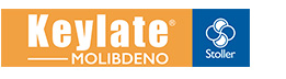 Logo_Keylate-Molibdeno_interior_261x72pix_2022