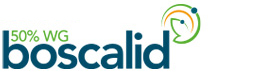 Logo_Boscalid_GMT_int_261x72pix_2024