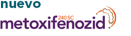 Logo_Metoxifenozid-240SC_GMT_int_261x72pix_2024