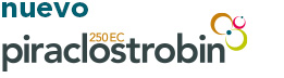 Logo_Piraclostrobin-250EC_GMT_int_261x72pix_2024