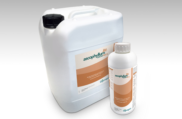 Ascophyllum Grow•480 SL