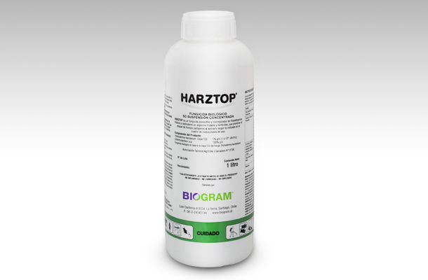 HarzTop®