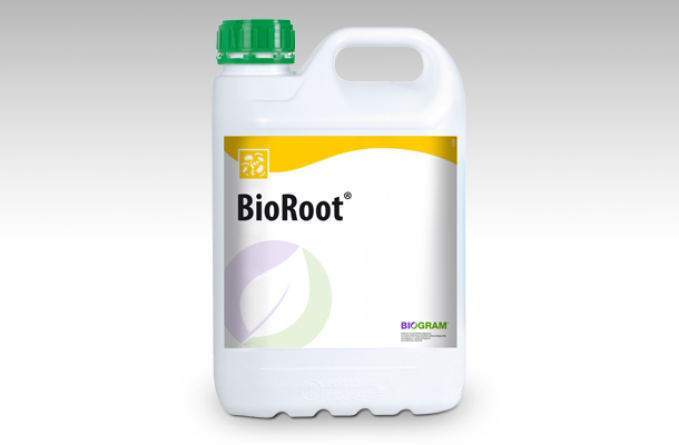 BioRoot®