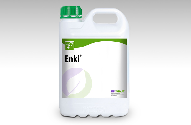 Enki